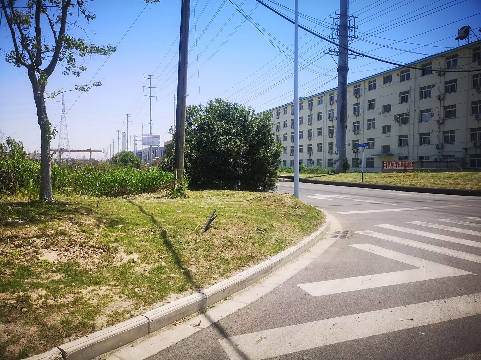 为什么有些明显的市政错误却没人提出整改?